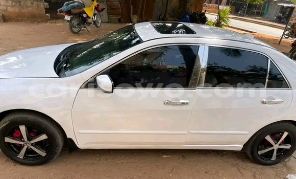 Acheter Occasion Voiture Honda Accord Blanc à Cotonou, Benin Acheter Occasion Voiture Honda Accord Blanc à Cotonou, Benin