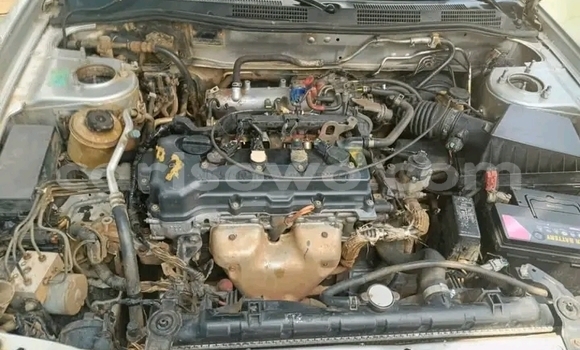 Acheter Occasion Voiture Nissan Primera Autre à Cotonou, Benin