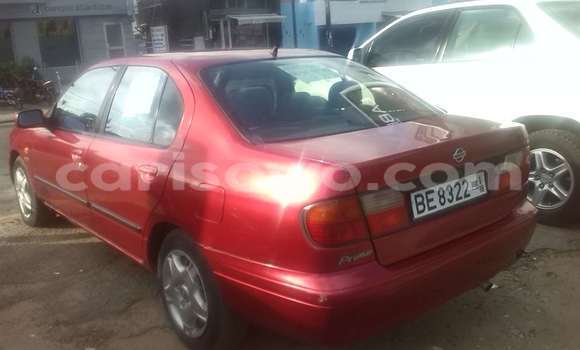 Sayi Na hannu Nissan Primera Red Mota in Cotonou a Benin Sayi Na hannu Nissan Primera Red Mota in Cotonou a Benin