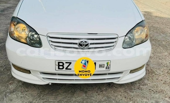Acheter Occasion Voiture Toyota Corolla Spacio Blanc à Cotonou, Benin Acheter Occasion Voiture Toyota Corolla Spacio Blanc à Cotonou, Benin