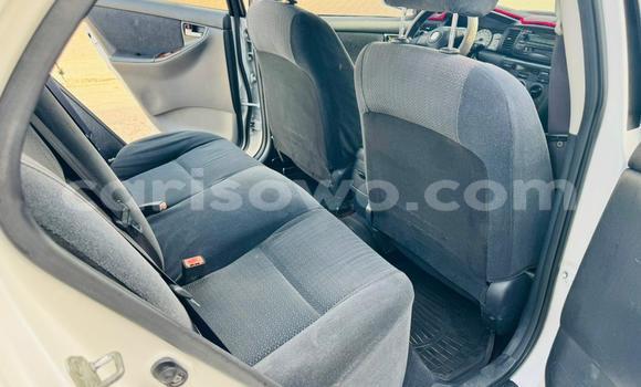 Sayi Na hannu Toyota Corolla Spacio White Mota in Cotonou a Benin Sayi Na hannu Toyota Corolla Spacio White Mota in Cotonou a Benin