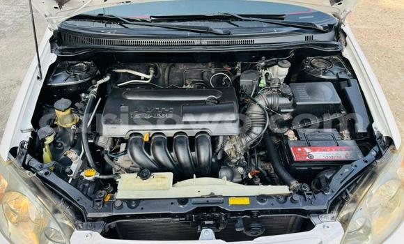 Sayi Na hannu Toyota Corolla Spacio White Mota in Cotonou a Benin Sayi Na hannu Toyota Corolla Spacio White Mota in Cotonou a Benin