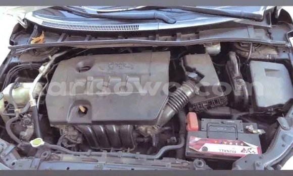 Sayi Na hannu Toyota Corolla White Mota in Cotonou a Benin