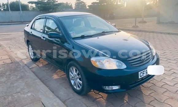 Acheter Occasion Voiture Toyota Corolla Noir à Cotonou, Benin