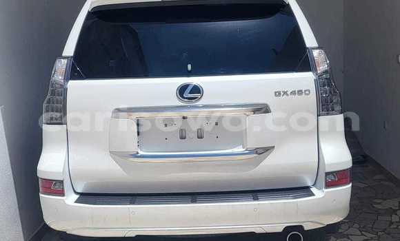 Acheter Neuf Voiture Lexus GX Blanc à Cotonou, Benin