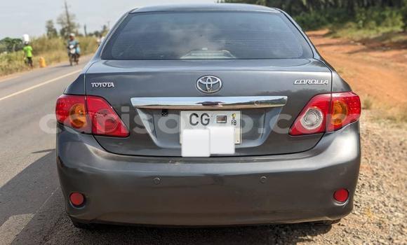 Acheter Occasion Voiture Toyota Corolla Marron à Cotonou, Benin Acheter Occasion Voiture Toyota Corolla Marron à Cotonou, Benin