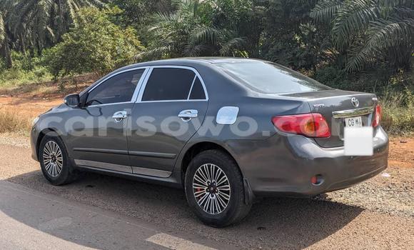 Acheter Occasion Voiture Toyota Corolla Marron à Cotonou, Benin Acheter Occasion Voiture Toyota Corolla Marron à Cotonou, Benin