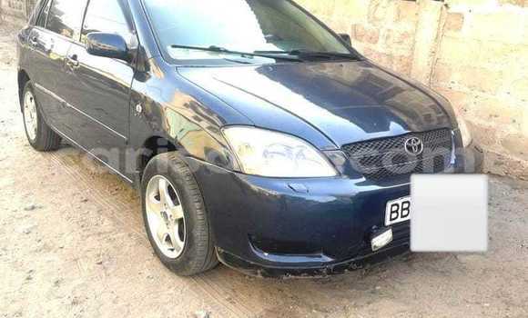 Sayi Na hannu Toyota Corolla Blue Mota in Cotonou a Benin Sayi Na hannu Toyota Corolla Blue Mota in Cotonou a Benin