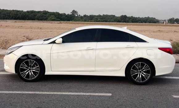 Sayi Na hannu Hyundai Sonata White Mota in Cotonou a Benin Sayi Na hannu Hyundai Sonata White Mota in Cotonou a Benin