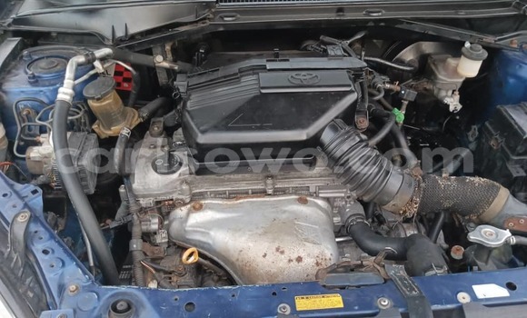 Ra Àlòkù Toyota RAV4 Blue Ọkọ̀ in Cotonou ni Benin Ra Àlòkù Toyota RAV4 Blue Ọkọ̀ in Cotonou ni Benin