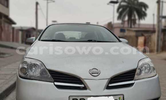 Acheter Occasion Voiture Nissan Primera Gris à Cotonou, Benin