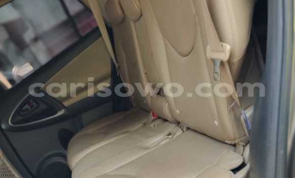 Sayi Na hannu Toyota RAV4 Brown Mota in Cotonou a Benin Sayi Na hannu Toyota RAV4 Brown Mota in Cotonou a Benin