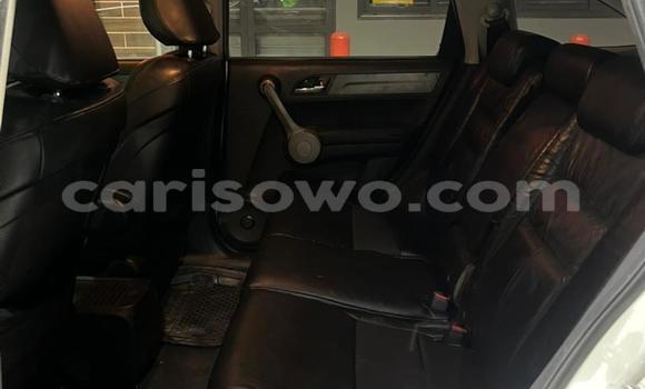 Sayi Na hannu Honda CR–V White Mota in Cotonou a Benin Sayi Na hannu Honda CR–V White Mota in Cotonou a Benin