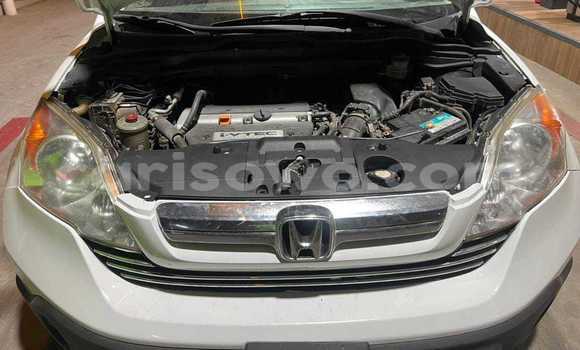 Sayi Na hannu Honda CR–V White Mota in Cotonou a Benin Sayi Na hannu Honda CR–V White Mota in Cotonou a Benin
