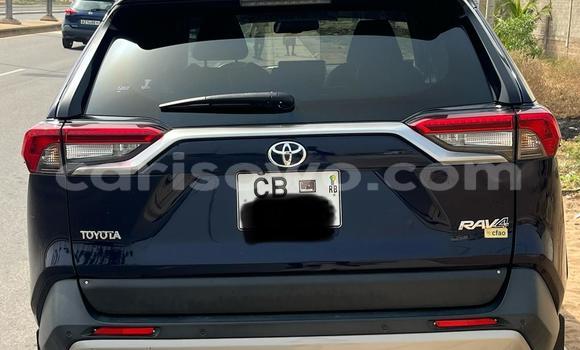Buy Used Toyota RAV4 Blue Car in Cotonou in Benign