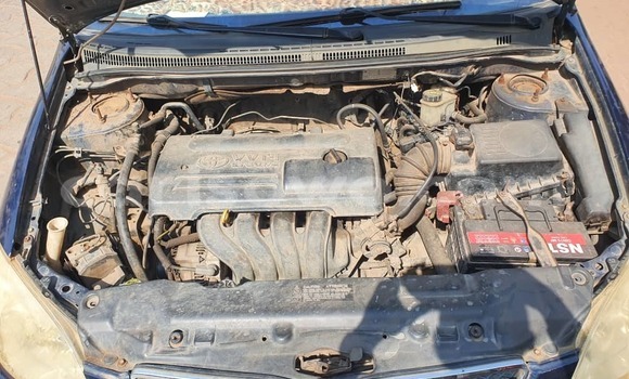 Sayi Na hannu Toyota Corolla Blue Mota in Cotonou a Benin Sayi Na hannu Toyota Corolla Blue Mota in Cotonou a Benin