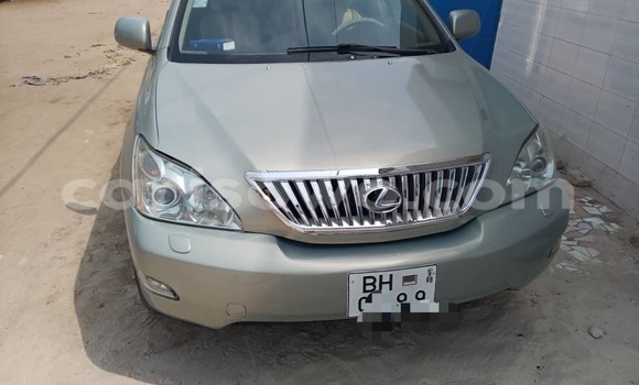 Buy Used Lexus RX 330 Silver Car in Cotonou in Benign