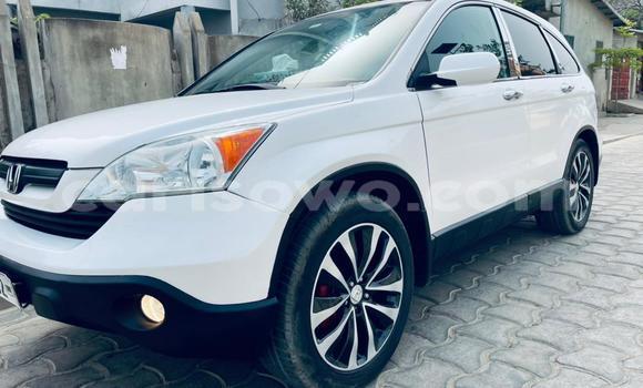Acheter Occasion Voiture Honda CR–V Blanc à Cotonou, Benin Acheter Occasion Voiture Honda CR–V Blanc à Cotonou, Benin