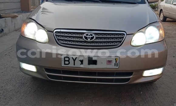 Buy Used Toyota Corolla Silver Car in Cotonou in Benign