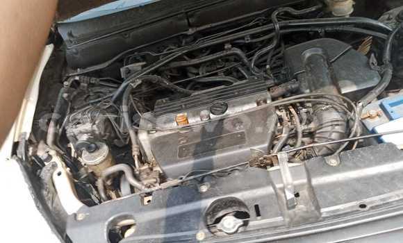 Acheter Occasion Voiture Honda CR–V Beige à Cotonou, Benin Acheter Occasion Voiture Honda CR–V Beige à Cotonou, Benin