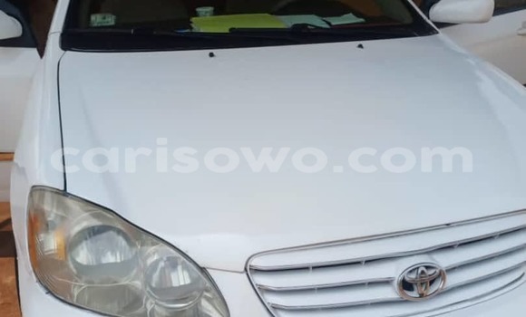 Buy Used Toyota Corolla White Car in Cotonou in Benign