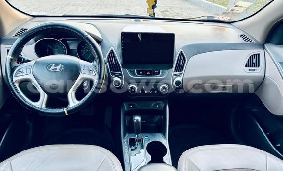 Acheter Occasion Voiture Hyundai Tucson Autre à Cotonou, Benin Acheter Occasion Voiture Hyundai Tucson Autre à Cotonou, Benin