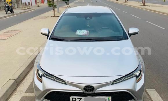 Sayi Na hannu Toyota Corolla White Mota in Cotonou a Benin Sayi Na hannu Toyota Corolla White Mota in Cotonou a Benin