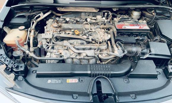 Sayi Na hannu Toyota Corolla White Mota in Cotonou a Benin Sayi Na hannu Toyota Corolla White Mota in Cotonou a Benin