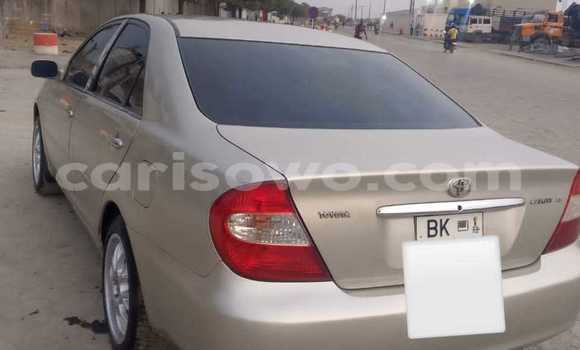 Sayi Na hannu Toyota Camry Azurfa Mota in Cotonou a Benin