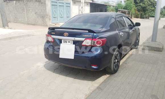 Ra Àlòkù Toyota Corolla Blue Ọkọ̀ in Cotonou ni Benin