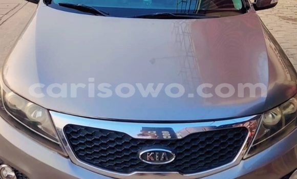 Ra Àlòkù Kia Sorento Brown Ọkọ̀ in Abomey Calavi ni Benin