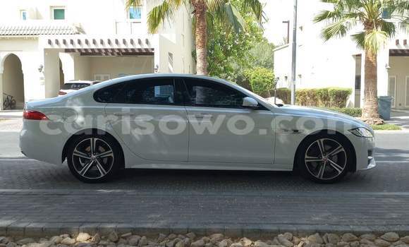 Sayi Na hannu Jaguar XF White Mota in Porto Novo a Benin Sayi Na hannu Jaguar XF White Mota in Porto Novo a Benin