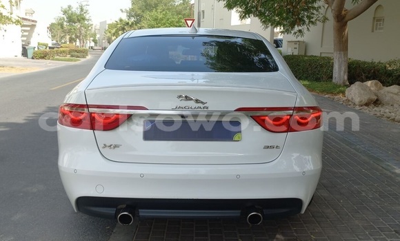 Sayi Na hannu Jaguar XF White Mota in Porto Novo a Benin Sayi Na hannu Jaguar XF White Mota in Porto Novo a Benin
