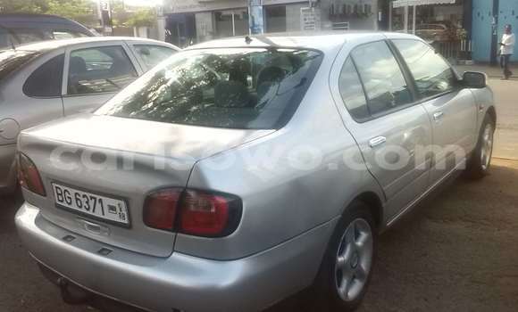 Sayi Na hannu Nissan Primera Azurfa Mota in Cotonou a Benin Sayi Na hannu Nissan Primera Azurfa Mota in Cotonou a Benin