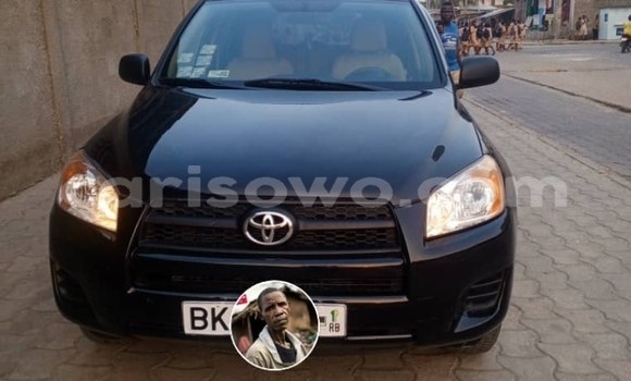 Buy Used Toyota RAV4 Blue Car in Cotonou in Benign