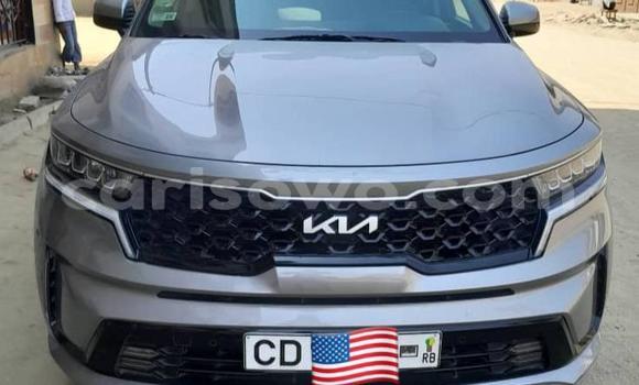 Acheter Occasion Voiture Kia Sorento Gris à Cotonou, Benin