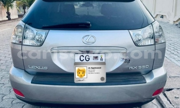 Sayi Na hannu Lexus RX 330 Azurfa Mota in Cotonou a Benin Sayi Na hannu Lexus RX 330 Azurfa Mota in Cotonou a Benin