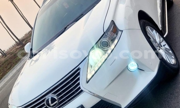 Buy Used Lexus RX 350 White Car in Cotonou in Benign