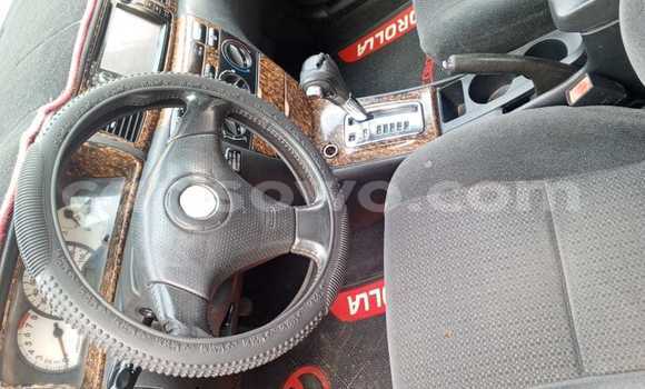 Buy Used Toyota Corolla Spacio Silver Car in Cotonou in Benign Buy Used Toyota Corolla Spacio Silver Car in Cotonou in Benign