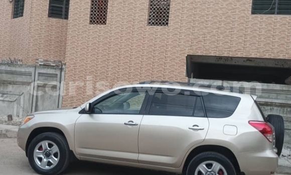 Acheter Occasion Voiture Toyota RAV4 Gris à Cotonou, Benin