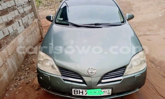 Acheter Occasion Voiture Nissan Primera Autre à Cotonou, Benin Acheter Occasion Voiture Nissan Primera Autre à Cotonou, Benin