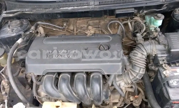 Buy Used Toyota Corolla Black Car in Cotonou in Benign