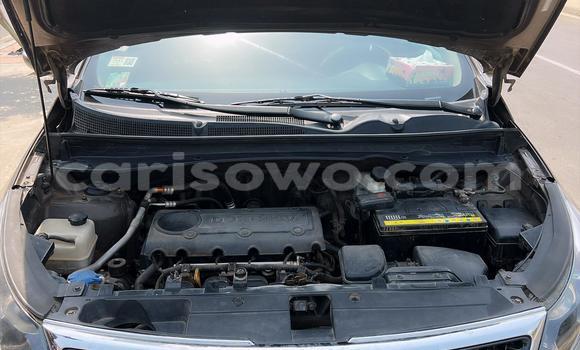 Acheter Occasion Voiture Kia Sportage Marron à Cotonou, Benin Acheter Occasion Voiture Kia Sportage Marron à Cotonou, Benin