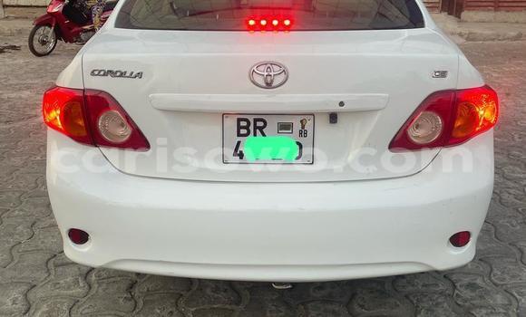 Ra Àlòkù Toyota Corolla Silver Ọkọ̀ in Cotonou ni Benin