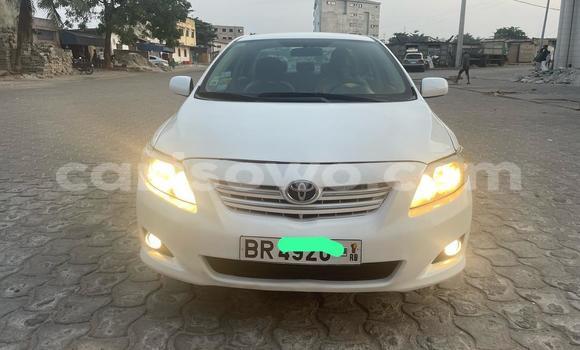 Ra Àlòkù Toyota Corolla Silver Ọkọ̀ in Cotonou ni Benin Ra Àlòkù Toyota Corolla Silver Ọkọ̀ in Cotonou ni Benin
