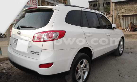 Acheter Occasion Voiture Hyundai Santa Fe Blanc à Cotonou, Benin Acheter Occasion Voiture Hyundai Santa Fe Blanc à Cotonou, Benin