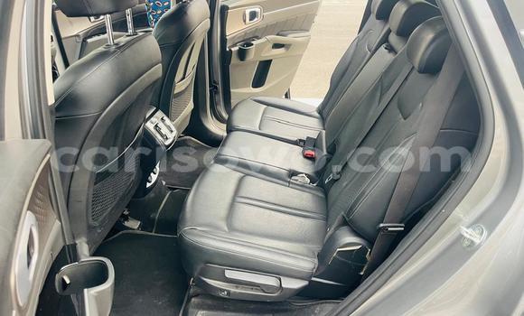 Acheter Occasion Voiture Kia Sorento Vert à Cotonou, Benin Acheter Occasion Voiture Kia Sorento Vert à Cotonou, Benin