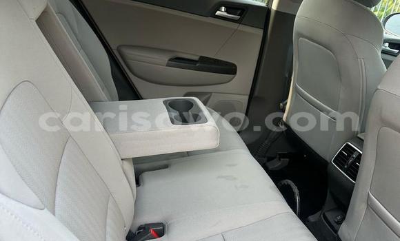 Acheter Occasion Voiture Hyundai Tucson Noir à Cotonou, Benin Acheter Occasion Voiture Hyundai Tucson Noir à Cotonou, Benin