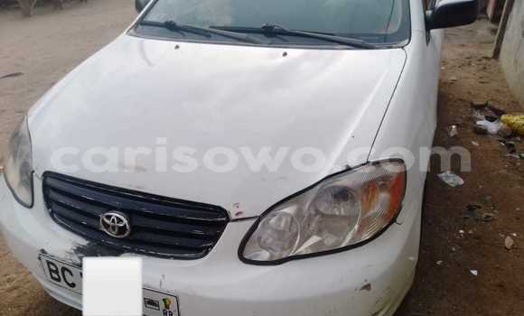 Sayi Na hannu Toyota Corolla White Mota in Cotonou a Benin Sayi Na hannu Toyota Corolla White Mota in Cotonou a Benin