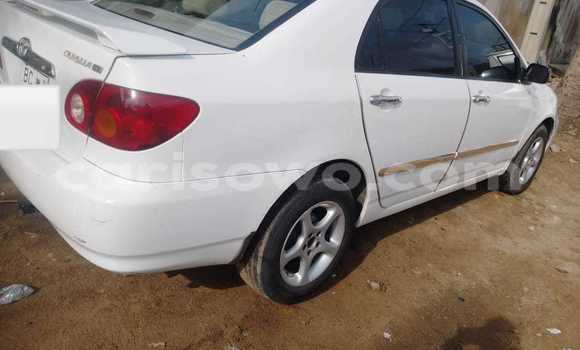 Sayi Na hannu Toyota Corolla White Mota in Cotonou a Benin Sayi Na hannu Toyota Corolla White Mota in Cotonou a Benin